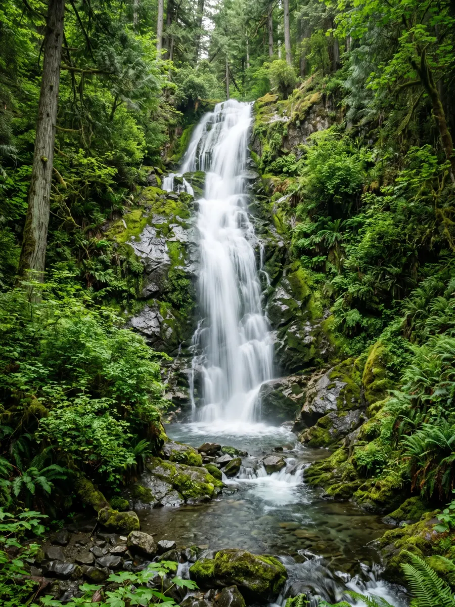 Video cover of a waterfall in a lush forest
