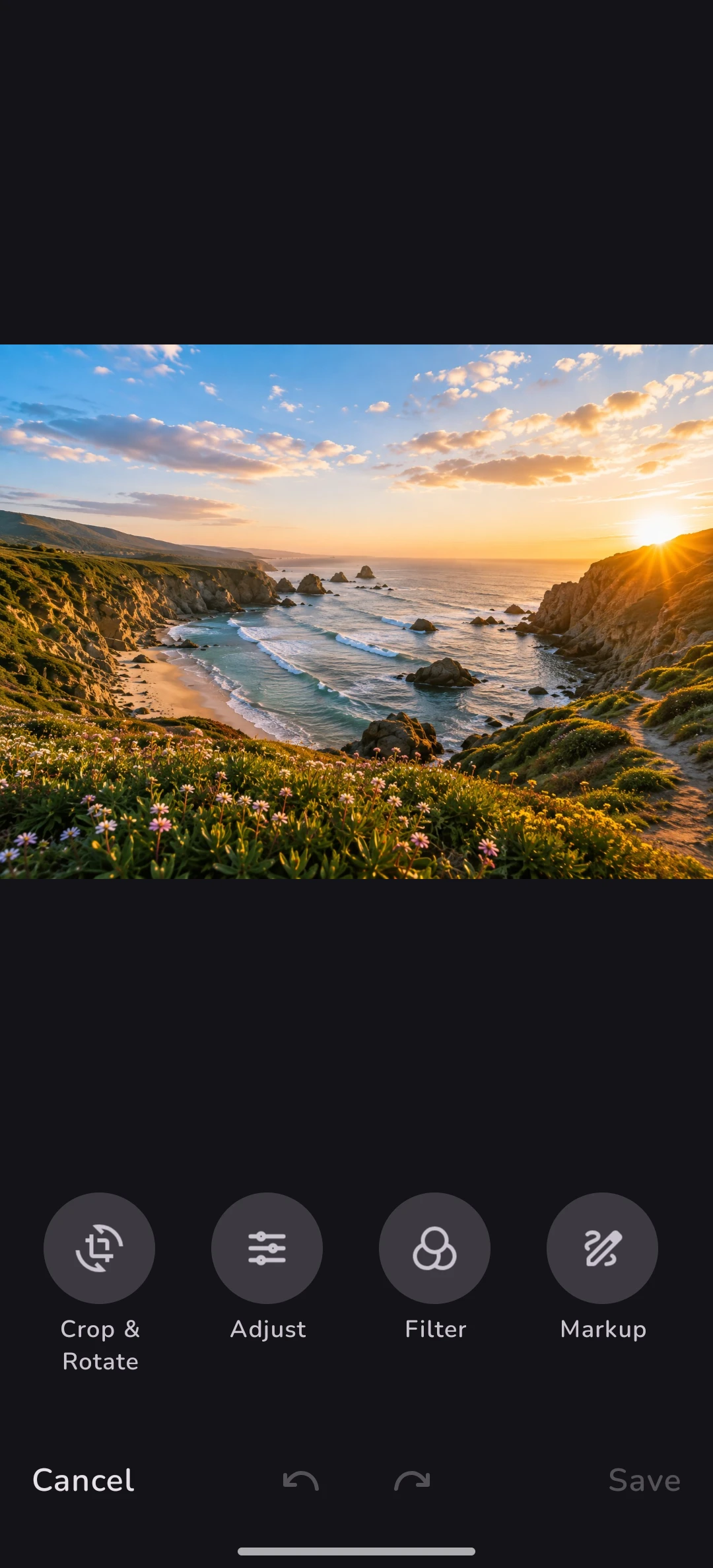 Photo Gallery photo editor showing adjustment controls